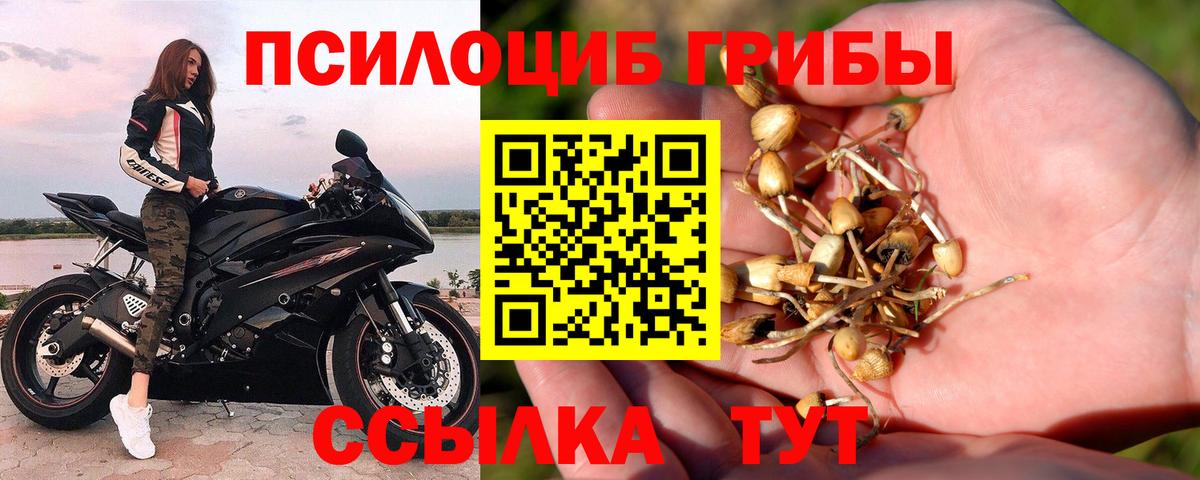Псилоцибиновые грибы GOLDEN TEACHER Златоуст