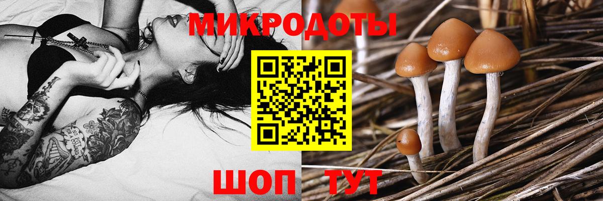 Златоуст  Псилоцибиновые грибы мухоморы  Вход с VPN 